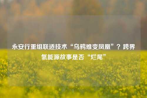 永安行重组联适技术“乌鸦难变凤凰”？跨界氢能源故事是否“烂尾”