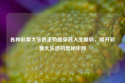 各种彩票大乐透走势图穿越人生星轨，揭开彩票大乐透的奥秘中网