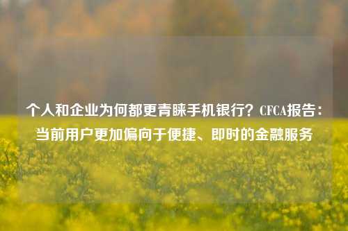 个人和企业为何都更青睐手机银行？CFCA报告：当前用户更加偏向于便捷、即时的金融服务