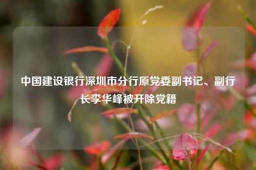 中国建设银行深圳市分行原党委副书记、副行长李华峰被开除党籍