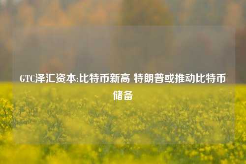 GTC泽汇资本:比特币新高 特朗普或推动比特币储备