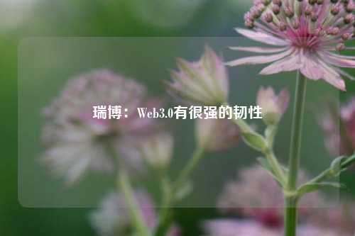 瑞博：Web3.0有很强的韧性