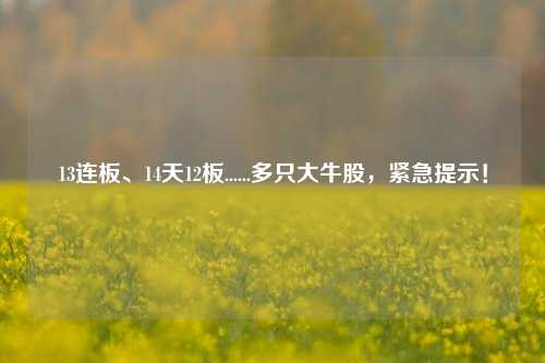 13连板、14天12板......多只大牛股，紧急提示！