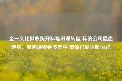 金一文化拟收购开科唯识谋转型 标的公司隐患缠身、收购爆雷余波未平 市值已缩水超166亿