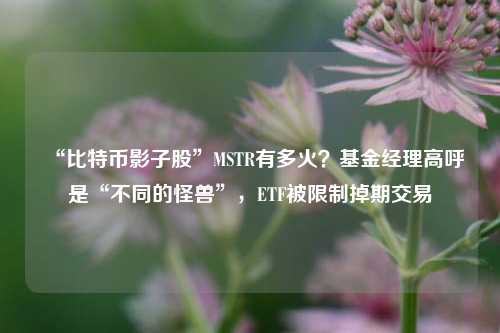 “比特币影子股”MSTR有多火？基金经理高呼是“不同的怪兽”，ETF被限制掉期交易