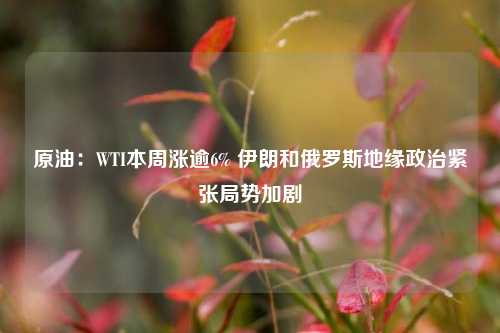 原油：WTI本周涨逾6% 伊朗和俄罗斯地缘政治紧张局势加剧