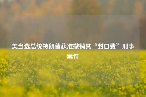 美当选总统特朗普获准撤销其“封口费”刑事案件