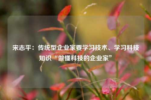 宋志平：传统型企业家要学习技术、学习科技知识“做懂科技的企业家”