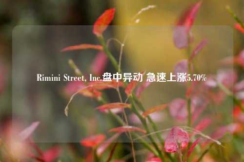 Rimini Street, Inc.盘中异动 急速上涨5.70%