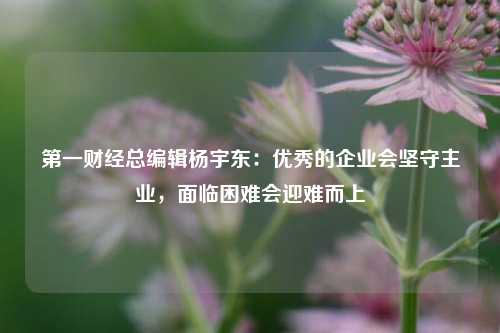 第一财经总编辑杨宇东：优秀的企业会坚守主业，面临困难会迎难而上