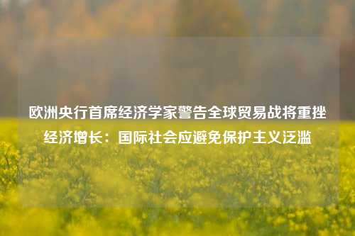 欧洲央行首席经济学家警告全球贸易战将重挫经济增长：国际社会应避免保护主义泛滥