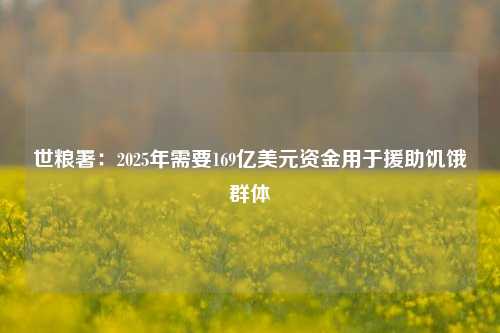 世粮署：2025年需要169亿美元资金用于援助饥饿群体