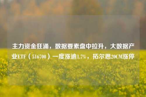 主力资金狂涌，数据要素盘中拉升，大数据产业ETF（516700）一度涨逾1.7%，拓尔思20CM涨停