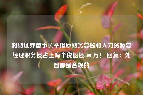 湘财证券董事长举报原财务总监和人力资源总经理职务侵占上海个税返还500 万！ 回复：处置都是合规的