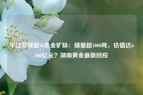 平江发现超40条金矿脉：储量超1000吨，估值达6000亿元？湖南黄金最新回应