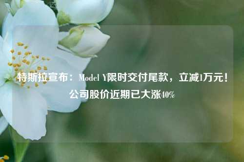 特斯拉宣布：Model Y限时交付尾款，立减1万元！公司股价近期已大涨40%