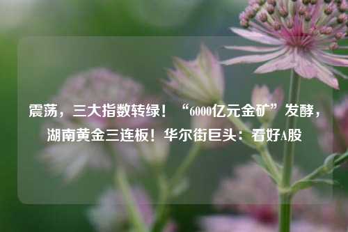 震荡，三大指数转绿！“6000亿元金矿”发酵，湖南黄金三连板！华尔街巨头：看好A股