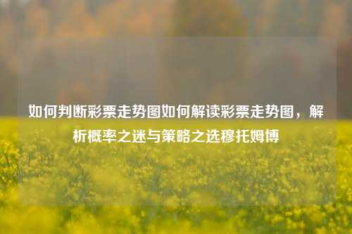 如何判断彩票走势图如何解读彩票走势图，解析概率之迷与策略之选穆托姆博