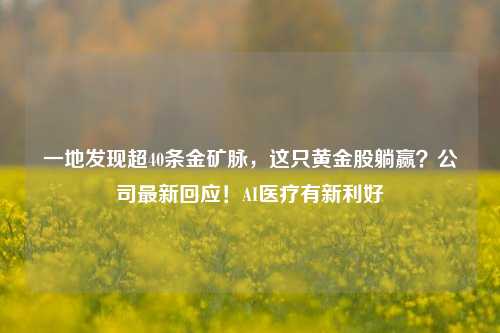 一地发现超40条金矿脉，这只黄金股躺赢？公司最新回应！AI医疗有新利好