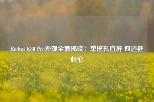 Redmi K80 Pro外观全面揭晓：单挖孔直屏 四边框超窄