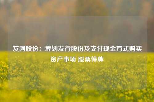 友阿股份：筹划发行股份及支付现金方式购买资产事项 股票停牌