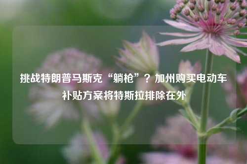 挑战特朗普马斯克“躺枪”？加州购买电动车补贴方案将特斯拉排除在外