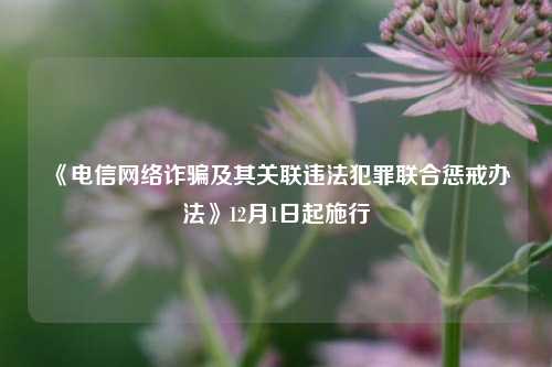 《电信网络诈骗及其关联违法犯罪联合惩戒办法》12月1日起施行