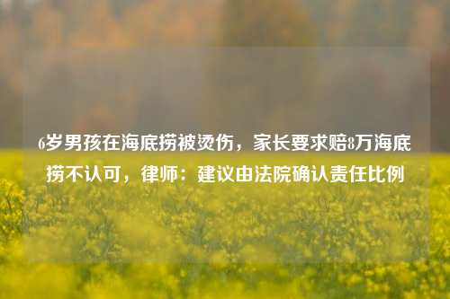 6岁男孩在海底捞被烫伤，家长要求赔8万海底捞不认可，律师：建议由法院确认责任比例