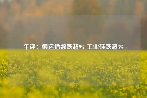 午评：集运指数跌超9% 工业硅跌超3%