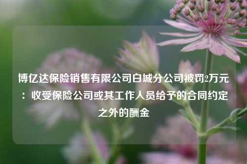 博亿达保险销售有限公司白城分公司被罚2万元：收受保险公司或其工作人员给予的合同约定之外的酬金