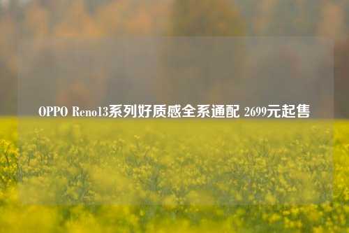 OPPO Reno13系列好质感全系通配 2699元起售