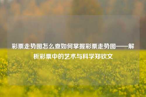 彩票走势图怎么查如何掌握彩票走势图——解析彩票中的艺术与科学郑钦文