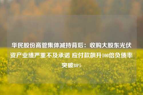 华民股份高管集体减持背后：收购大股东光伏资产业绩严重不及承诺 应付款飙升100倍负债率突破80%