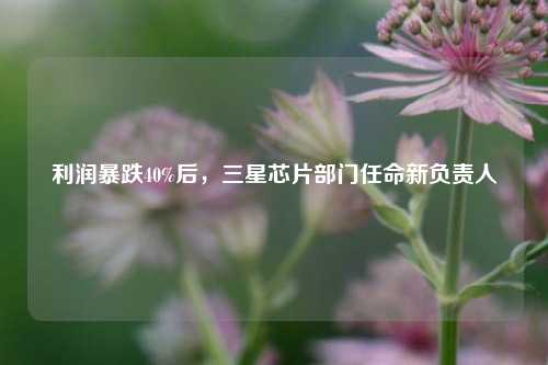 利润暴跌40%后，三星芯片部门任命新负责人