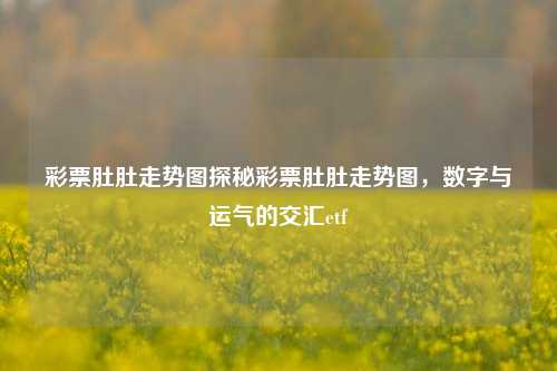 彩票肚肚走势图探秘彩票肚肚走势图，数字与运气的交汇etf