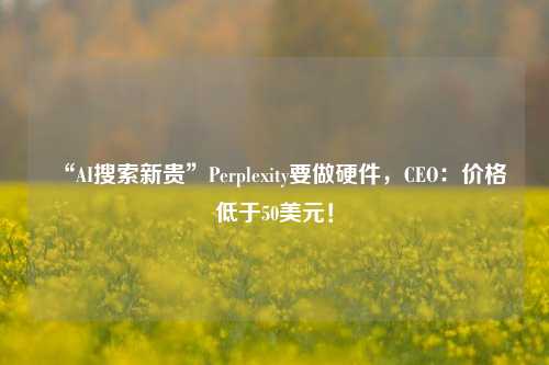 “AI搜索新贵”Perplexity要做硬件，CEO：价格低于50美元！