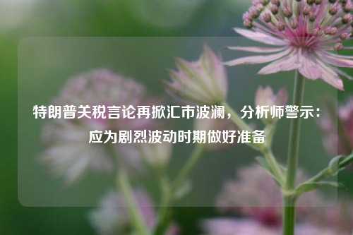 特朗普关税言论再掀汇市波澜，分析师警示：应为剧烈波动时期做好准备