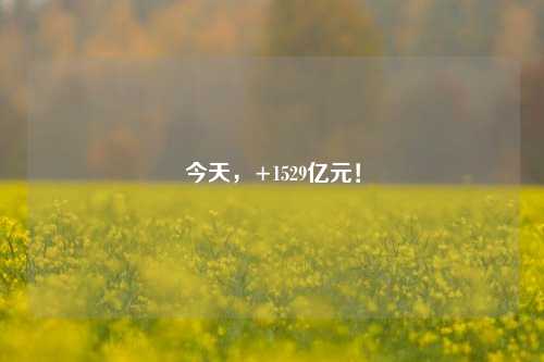 今天，+1529亿元！