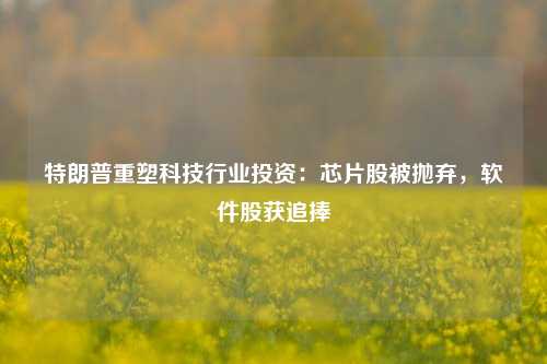 特朗普重塑科技行业投资：芯片股被抛弃，软件股获追捧