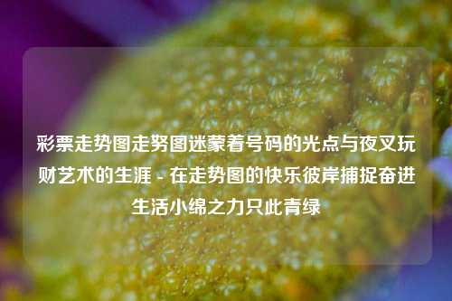 彩票走势图走努图迷蒙着号码的光点与夜叉玩财艺术的生涯 - 在走势图的快乐彼岸捕捉奋进生活小绵之力只此青绿