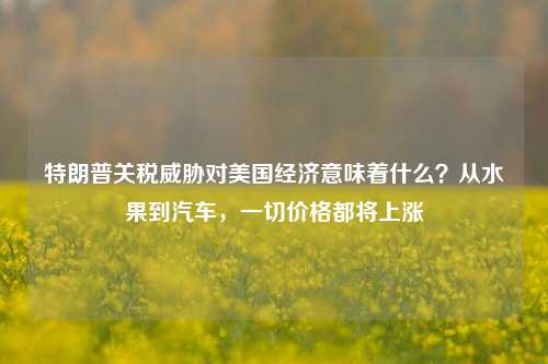 特朗普关税威胁对美国经济意味着什么？从水果到汽车，一切价格都将上涨