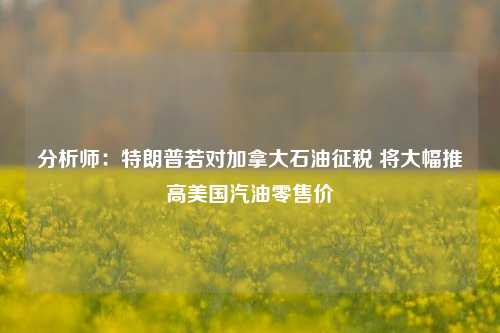 分析师：特朗普若对加拿大石油征税 将大幅推高美国汽油零售价