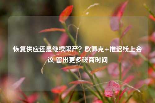 恢复供应还是继续限产？欧佩克+推迟线上会议 留出更多磋商时间