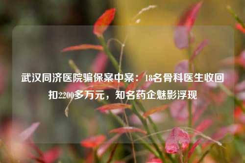 武汉同济医院骗保案中案：18名骨科医生收回扣2200多万元，知名药企魅影浮现