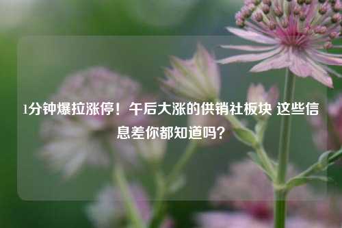 1分钟爆拉涨停！午后大涨的供销社板块 这些信息差你都知道吗？