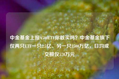 中金基金上报A500ETF你敢买吗？中金基金旗下仅两只ETF一只2.5亿、另一只3500万亿，日均成交额仅570万元