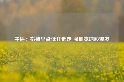 午评：指数早盘低开低走 深圳本地股爆发