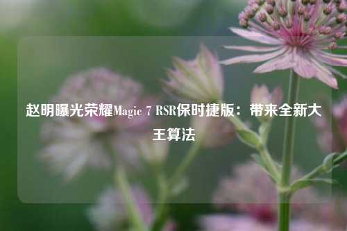 赵明曝光荣耀Magic 7 RSR保时捷版：带来全新大王算法