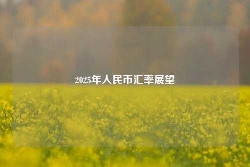 2025年人民币汇率展望