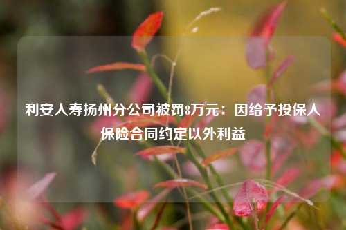 利安人寿扬州分公司被罚8万元：因给予投保人保险合同约定以外利益